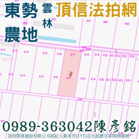 東勢鄉農地法拍-4