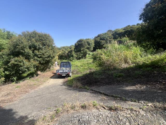 台中太平農地-0