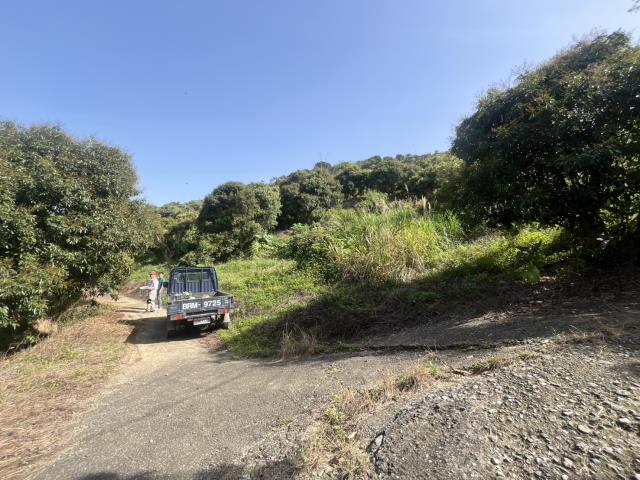 台中太平農地-6