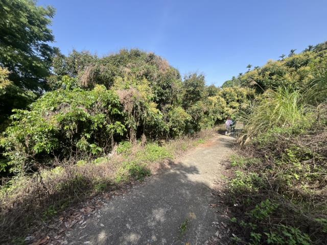 台中太平農地-10