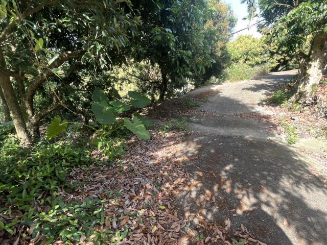 台中太平農地-11