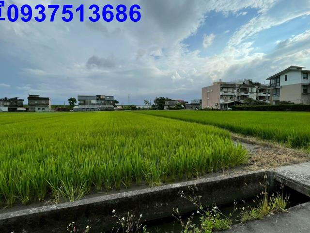 宜蘭宜蘭市農地-10