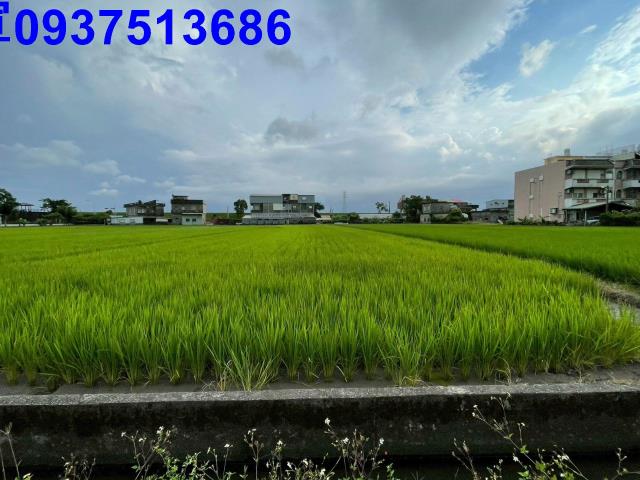 宜蘭宜蘭市農地-13