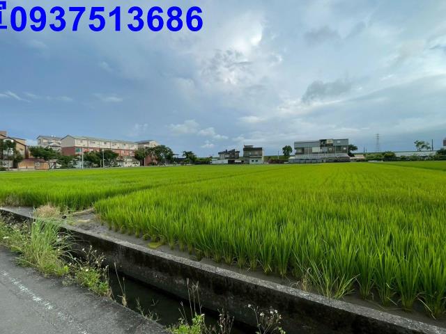 宜蘭宜蘭市農地-0