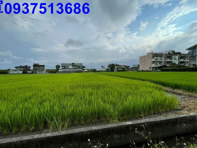宜蘭宜蘭市農地-1