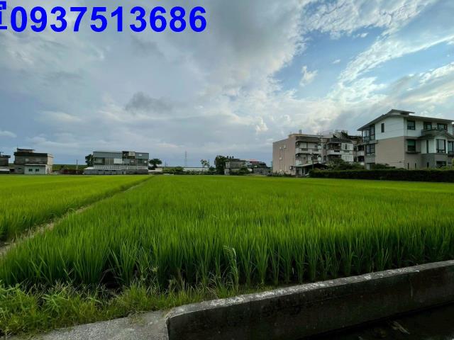 宜蘭宜蘭市農地-2