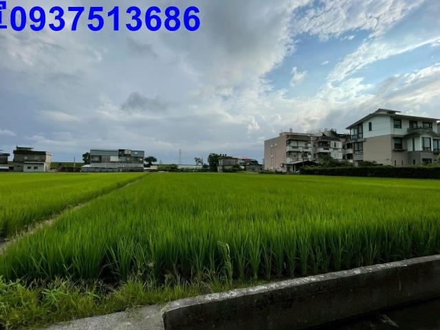 宜蘭宜蘭市農地-3
