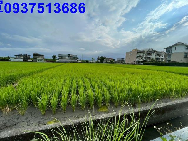 宜蘭宜蘭市農地-5