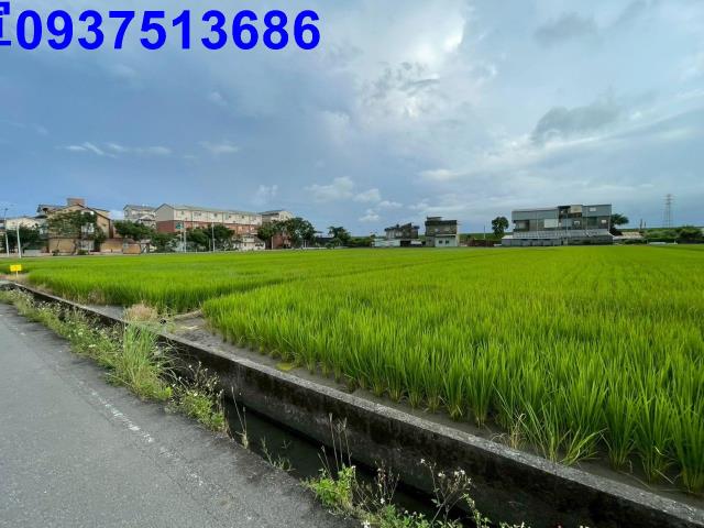 宜蘭宜蘭市農地-7