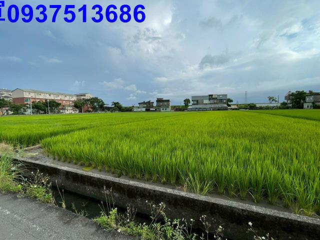 宜蘭宜蘭市農地-8