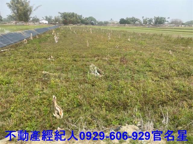 嘉義西區農地-2