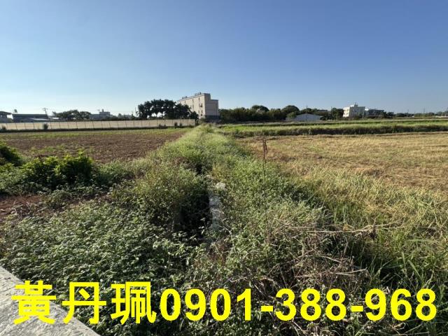 觀音農地-2