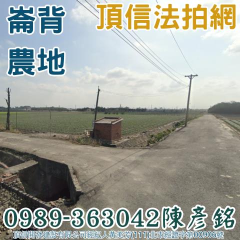 崙背農地法拍-0