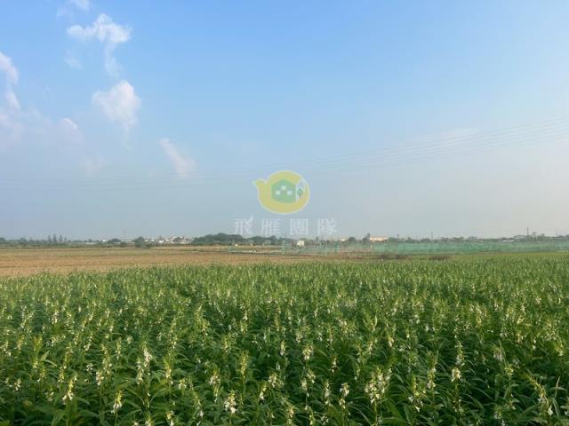 台南不動產交易不動產投資農地農舍買賣台南中古屋買賣大台南房地