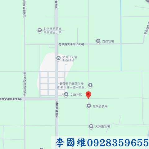 彰化芳苑法拍農地-3