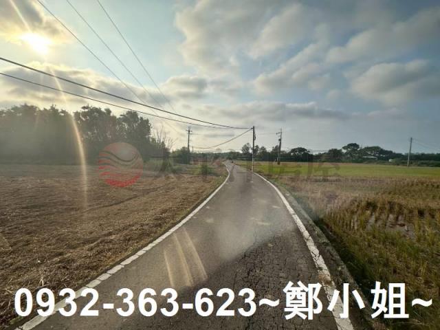 桃園大園農地-9