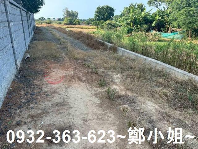 桃園大園農地-0