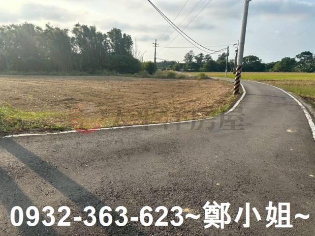 桃園大園農地-8