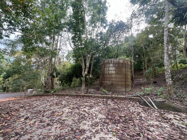 南投鹿谷農地-7