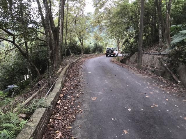 南投鹿谷農地-9