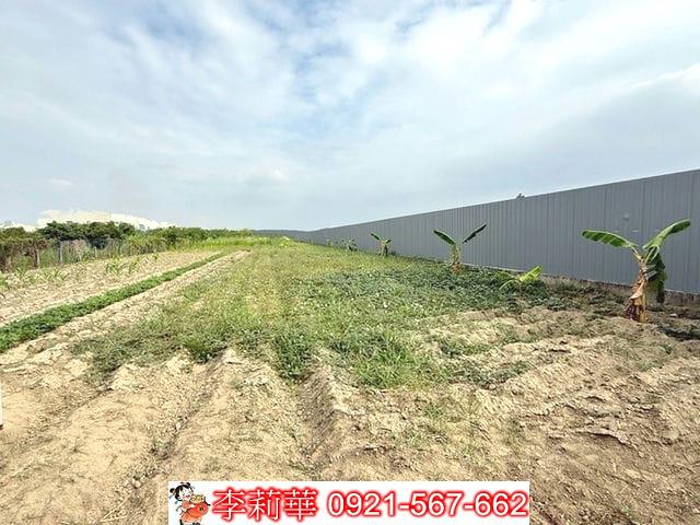 安定農地-6