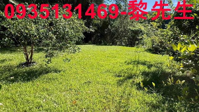 新竹關西農地-4