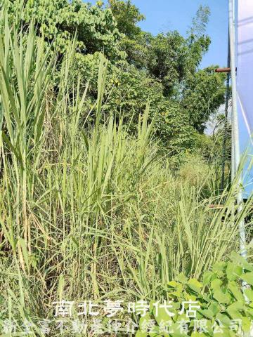 台南左鎮建地-5