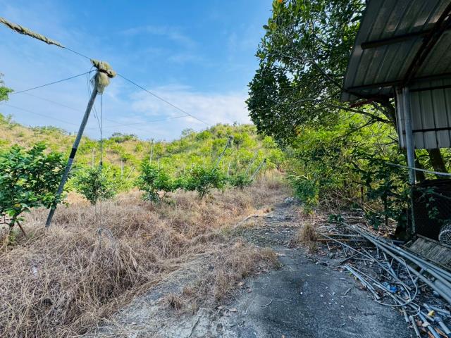 左鎮化石館15甲農地