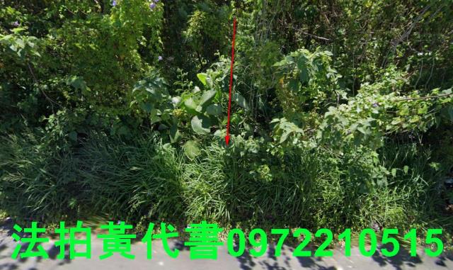 安定法拍農地-0