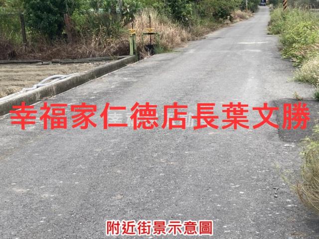 安定國八旁雙面臨路美農地