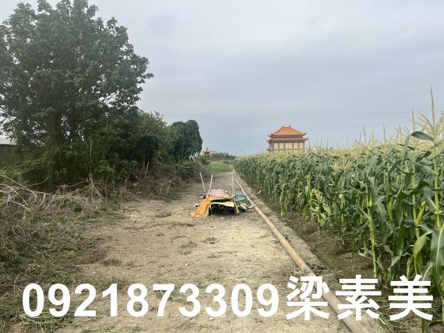 台南土地農地工業地建地廠房農舍道路用地