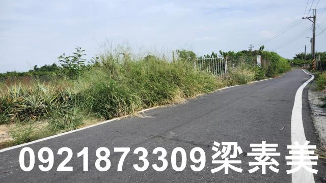台南土地農地工業地建地廠房農舍道路用地