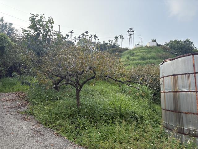 台中東勢山坡地-0
