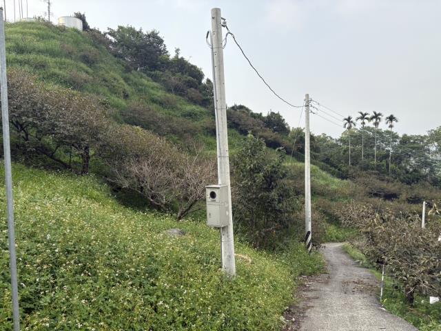 台中東勢山坡地-2