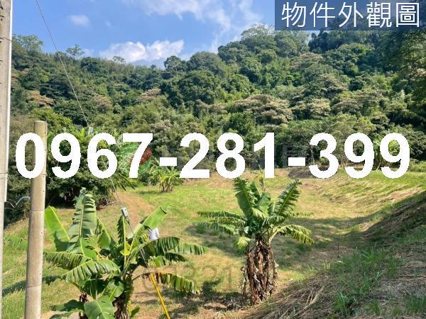 苗栗三灣農地-13