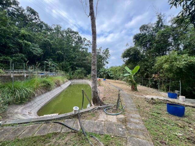 玉井三埔加利利優美農地