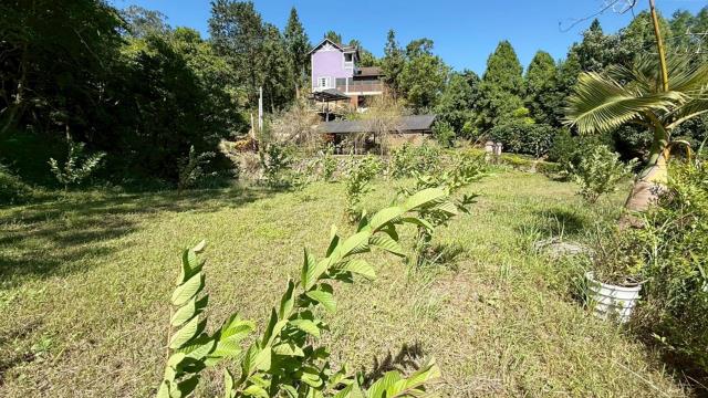 新竹橫山農地-1