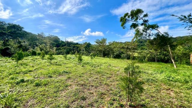 農地山坡地休閒地景觀地小坪數農地露營地農舍資材