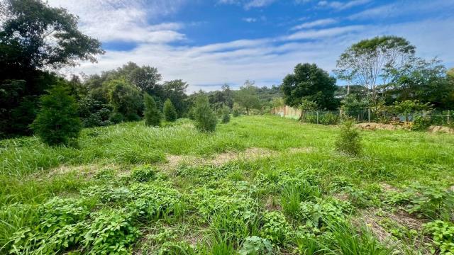 新竹竹東農地-3