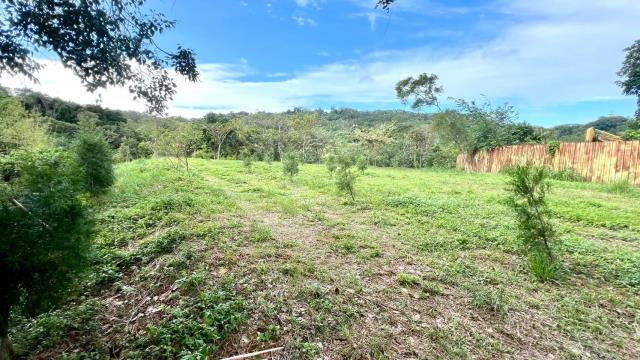 新竹竹東農地-4