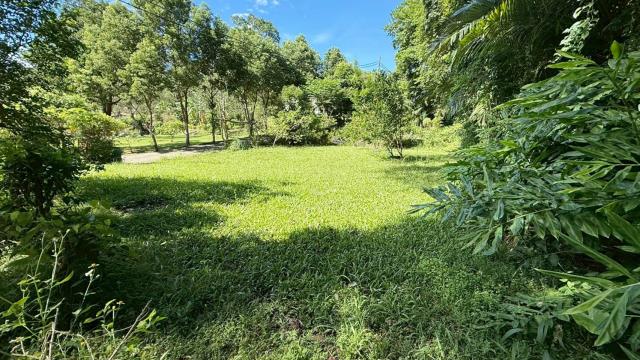 新竹關西農地-7