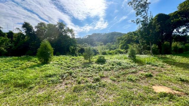 新竹竹東農地-3