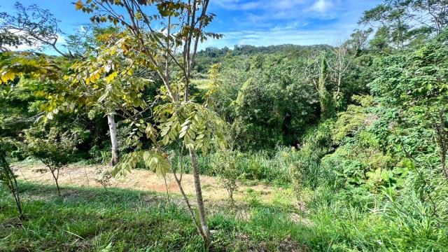 新竹竹東農地-7