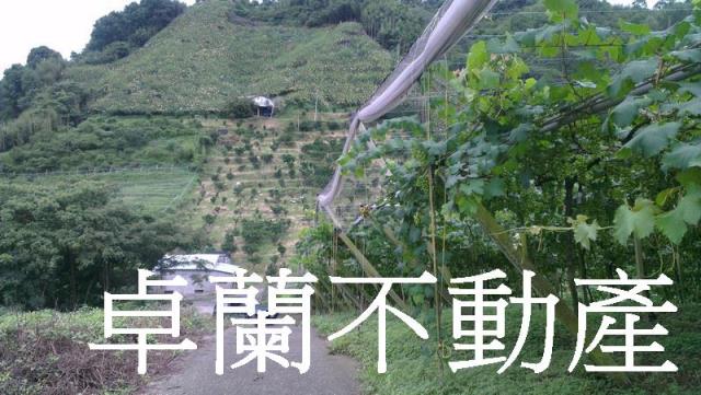 苗栗卓蘭農地-3