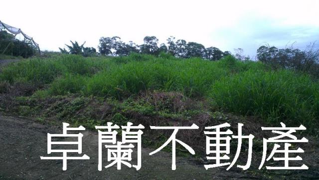 苗栗卓蘭農地-4