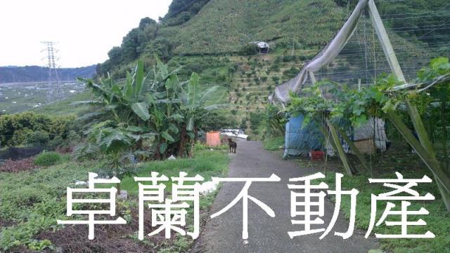 苗栗卓蘭農地-5