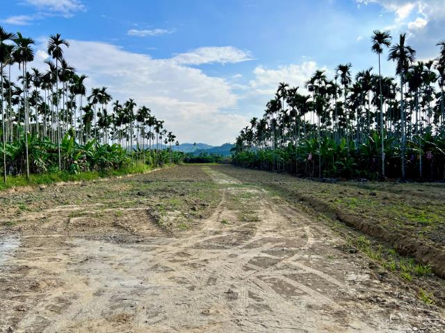 中寮國中都計內農建地4分5