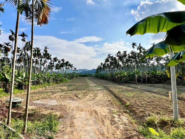 南投中寮農地-4