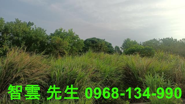 66快速道路市區