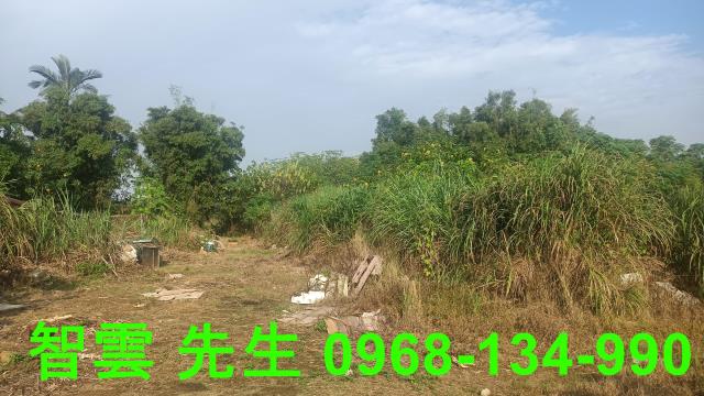 66快速道路台31線